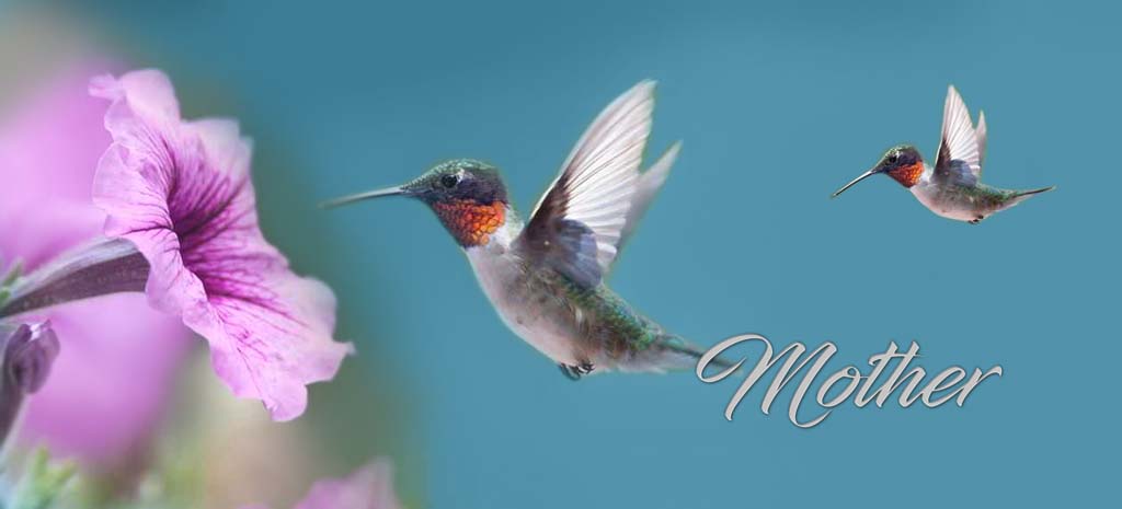 Hummingbird 2 (Mother) PROOF